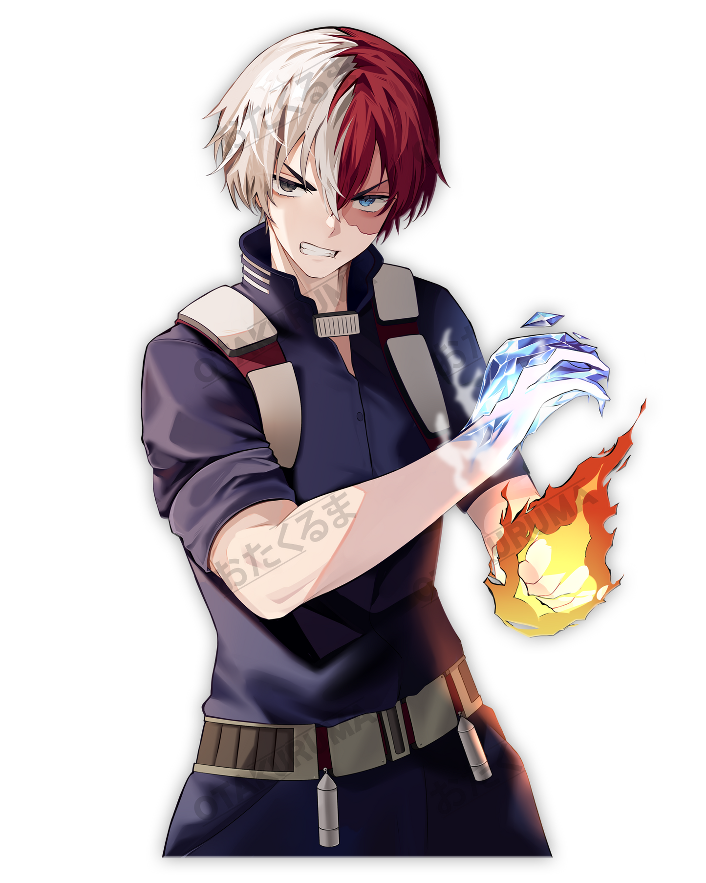 Todoroki 3QTR