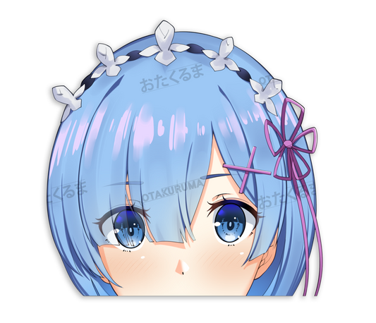 Rem PEEKR