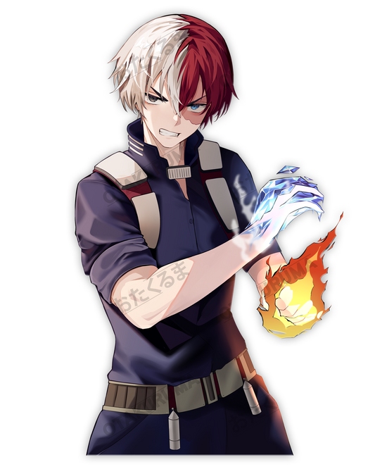 Todoroki 3QTR